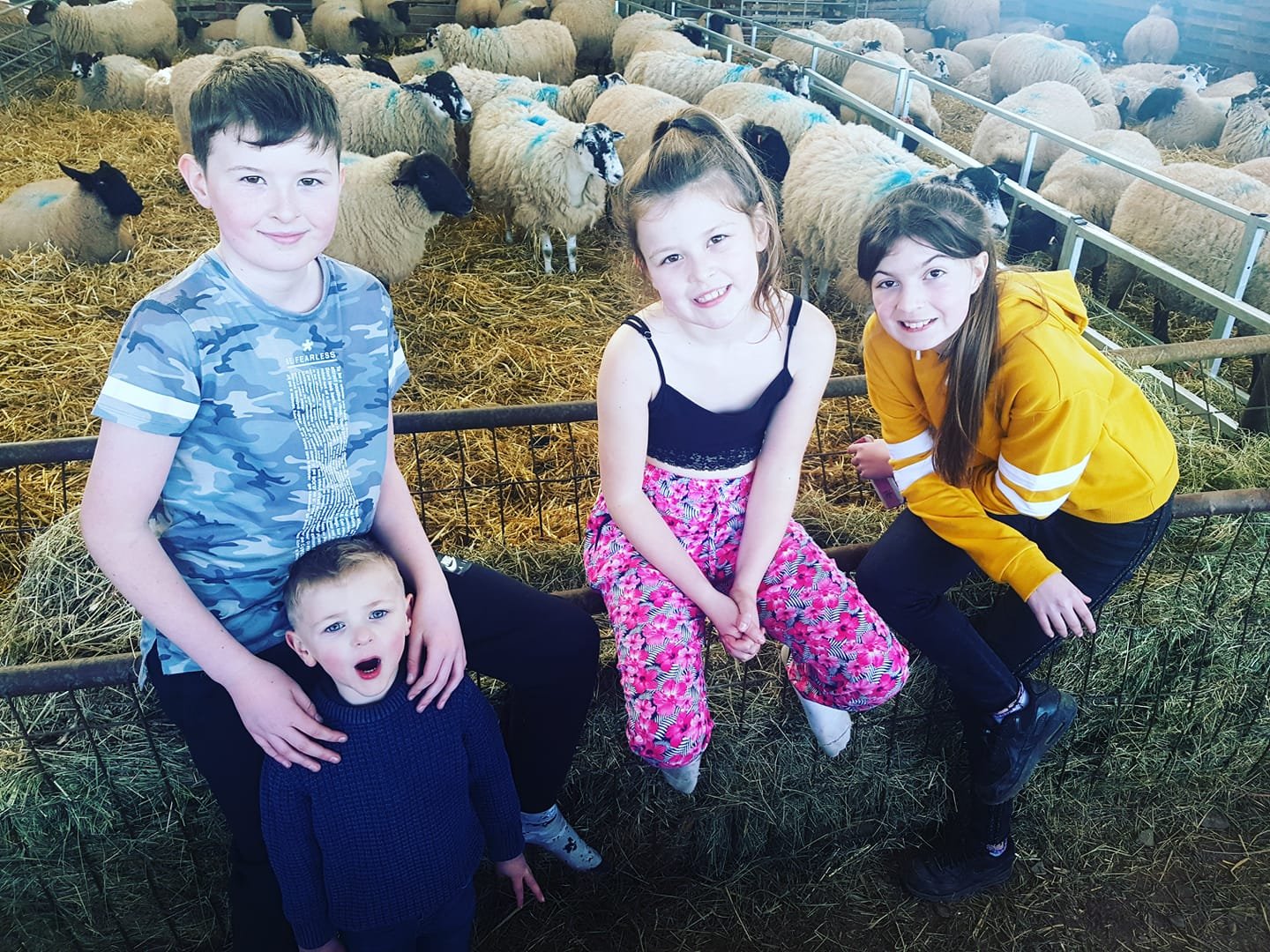 Raglan Farm Park - iVisit